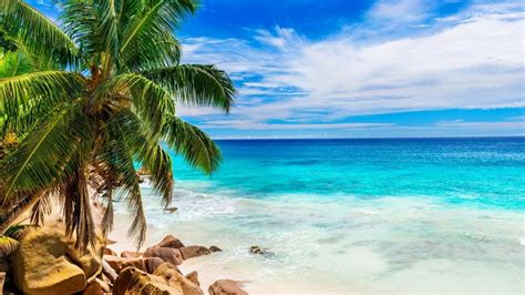 Rocks Isle Shore Sun Rock Palm Clouds Sea Beach Stones Tropic