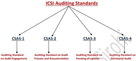 Icsi Auditing Standards