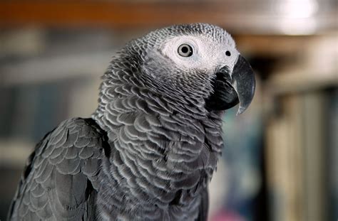 Профиль участника tamarix