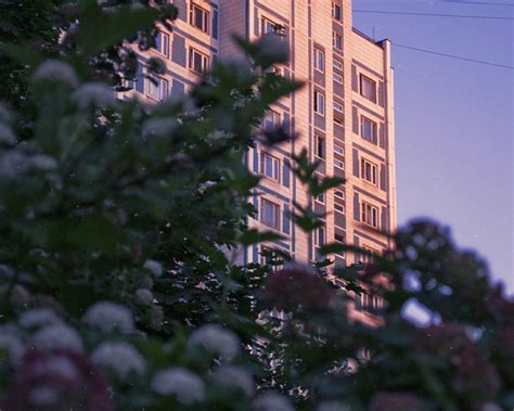 Цветущая весна на фоне закатной панельки Building Aesthetic, Russian ...