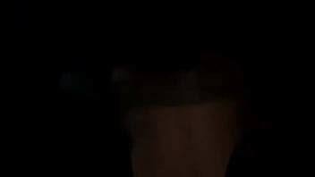 Carro Videos XVIDEOS