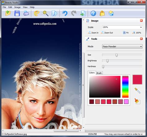 AMS Beauty Studio Download Free (Windows) - 1.87 | Softpedia