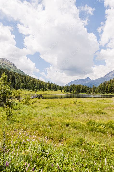 St Moritz Stazersee Stazerwald Bergsee Badesee Engadin