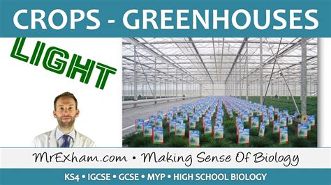 Food Production Crop Plants And Greenhouses Gcse Biology 9 1 Youtube