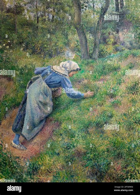 Peasant Woman Gathering Grass Camille Pissarro 1881 Art Institute Of