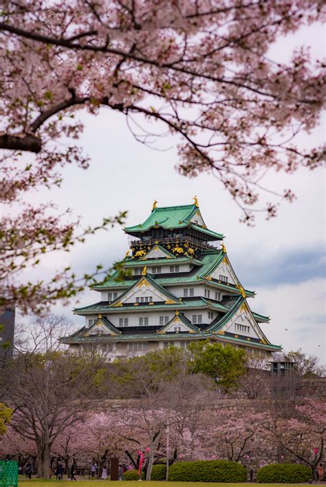 Osaka Castle Tips And Review Travel Caffeine