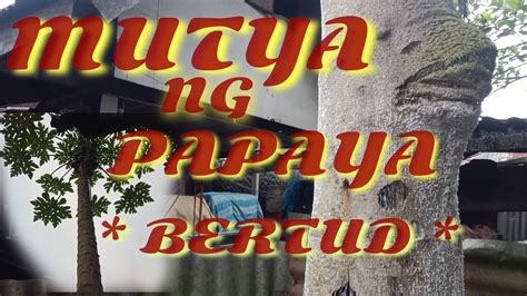 MUTYA NG PAPAYA BERTUD Anting Anting AGIMAT TRUE STORY YouTube