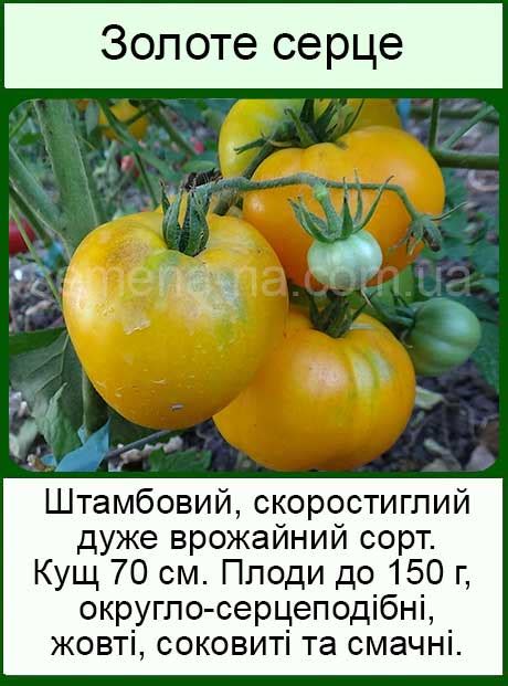 Насіння низькорослих помідор