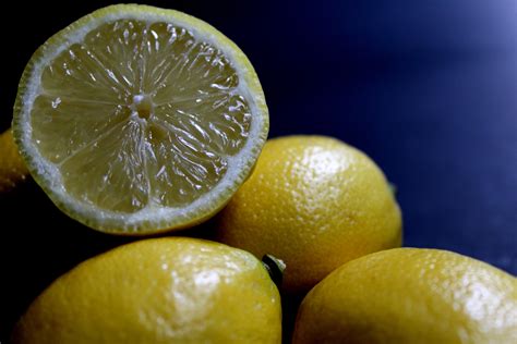 Kumpulan Gambar Buah Lemon Hitam Putih Hitamputih44