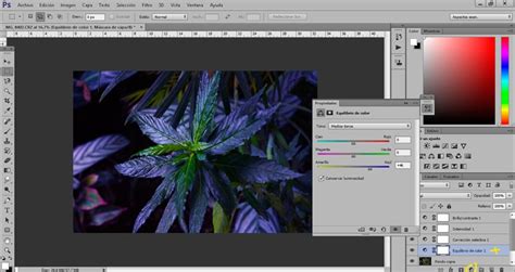 Mejorar la calidad de una fotografía con Photoshop
