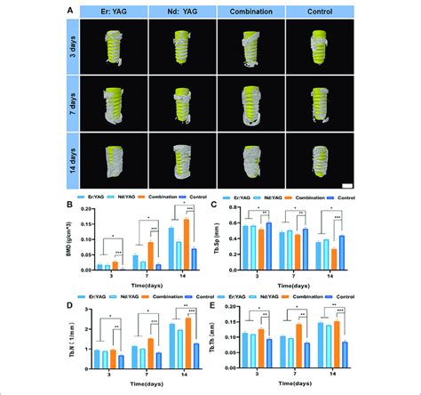 Micro CT Analysis Of Bone Integration A Representative 3D