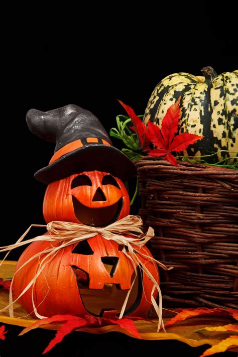 Halloween Decoration On Black Free Stock Photo - Public Domain Pictures