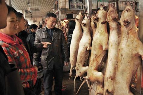 In China On The Solstice Dog Meat Is Whats For Dinner Bloomberg