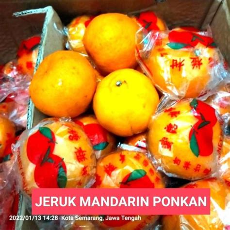 Jual Buah Jeruk Impor Sunkist Lemon Santang Ponkan Wogan Murcot