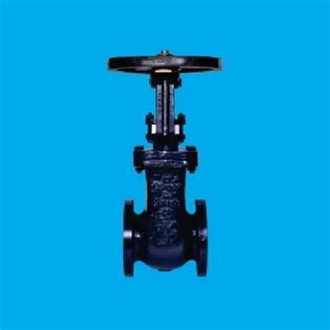 Cast Iron Gate Valves End Connection Flanged Size 24 Inch At Rs 500