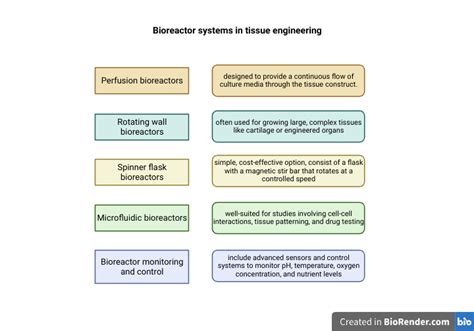 Bioreactor Systems In Tissue Engineering Facellitate