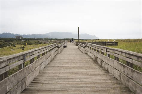 10 Adventurous Things To Do In Long Beach Washington