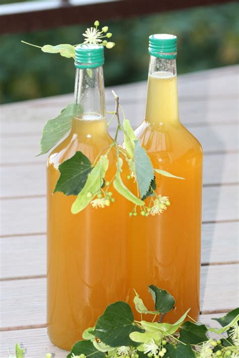 Lipový sirup - Čarovná lékárna kolem nás