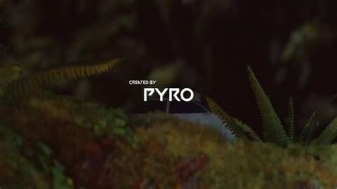 Rule If It Exists There Is Porn Of It The Mandalorian