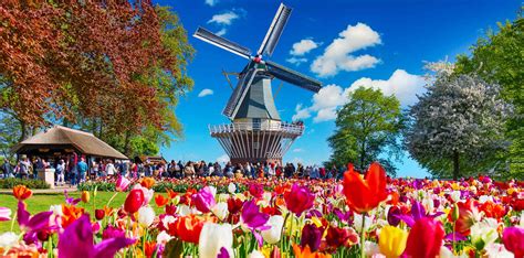 Holland Flower Festival Every 10 Years Best Flower Site