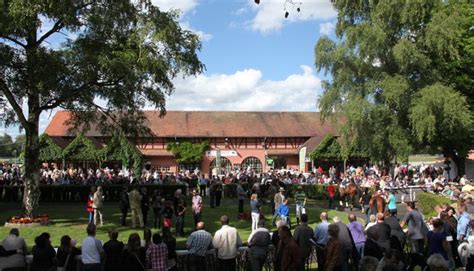 France Sire Le Haras Des Elys Partenaires De La Journ E D Couverte Du