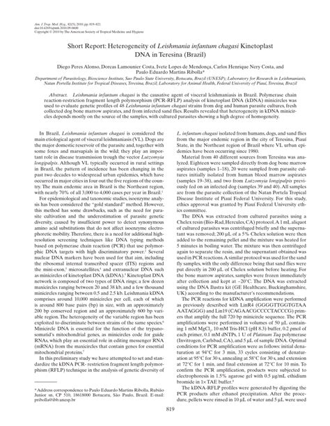 PDF Heterogeneity Of Leishmania Infantum Chagasi Kinetoplast DNA In