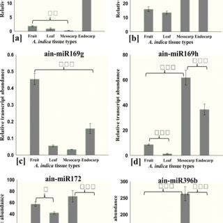 Stem-loop hairpin structures of randomly selected A. indica miRNAs. a ...