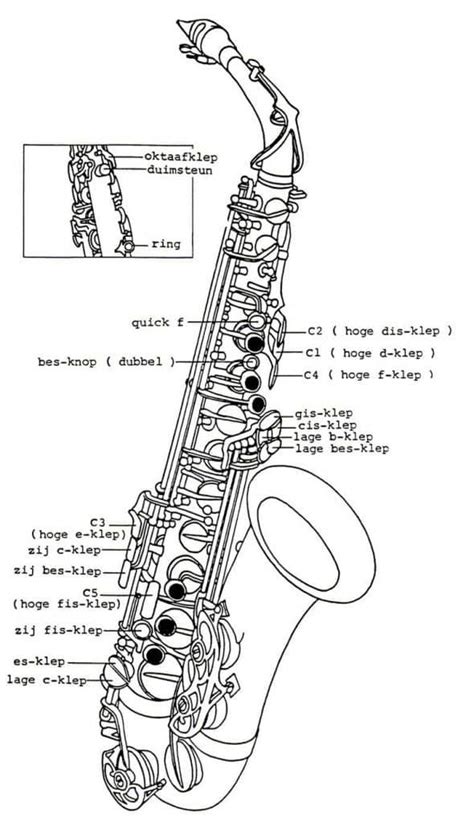 Alto Saxophone Labeled Keys