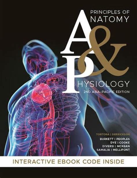 Principles Of Anatomy And Physiology 2nd Edition By Gerard J Tortora