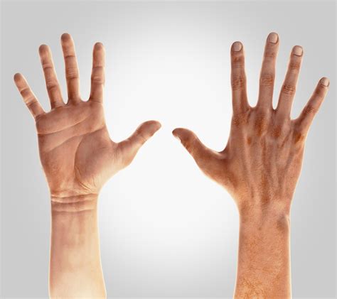 hand是什么意思_hand的中文解释和发音_