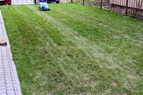 Уход за газоном весной | Цена за сотку | Заказать работу на фирме