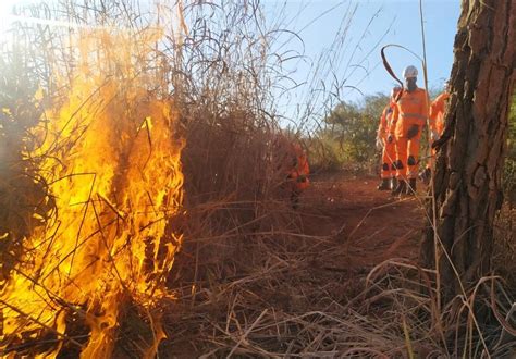 Incêndio consome vegetação na área rural de Montes Claros Grande