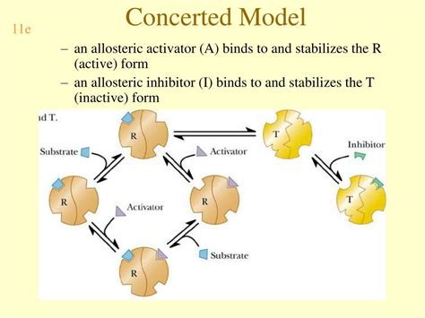 Ppt Biochemistry Powerpoint Presentation Free Download Id5755720