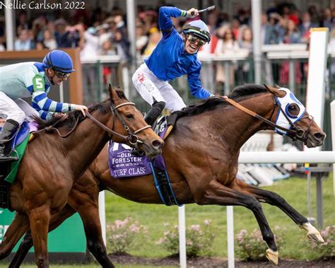 Equibase Workouts Santa Anita - WORKOUT CARDIO ROUTINE