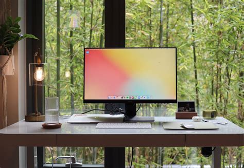 Serene Standing Desk Setup