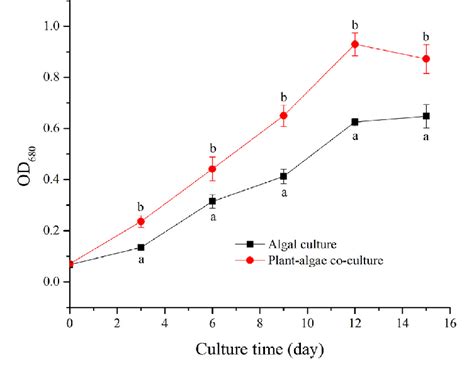 Algal Growth