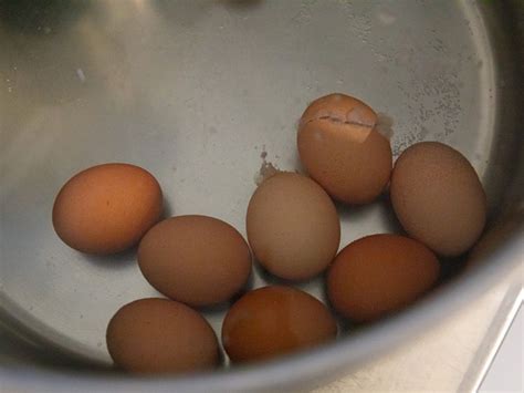 How To Pasteurize Eggs At Home