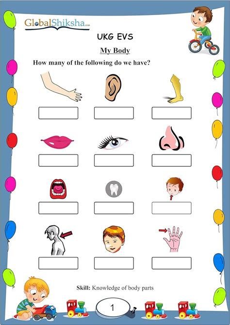 Five Sense Organs Worksheet Live Worksheets 54 Off