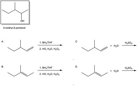 Which Alkene And Reaction Conditions Are Predicted To Lead To The