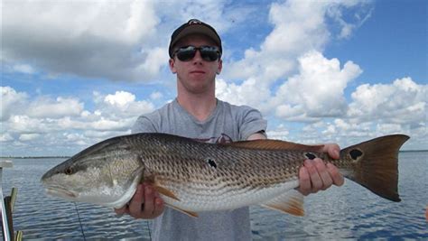 Top 10 Gulfport Fishing Charters | Gulfport MS Fishing Charters for 2020