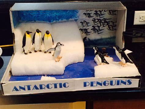 Antarctica diorama 2013 Science Projects, School Projects, Projects For