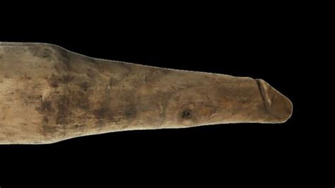 Archäologen korrigieren sich Stopfwerkzeug ist wohl doch ein Dildo n tv de