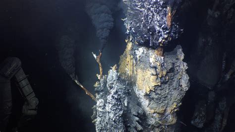 Five New Hydrothermal Vents Discovered In The Eastern Tropical Pacific