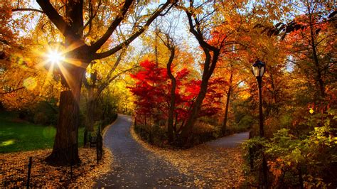 Autumn Sunrise Wallpapers - Wallpaper Cave