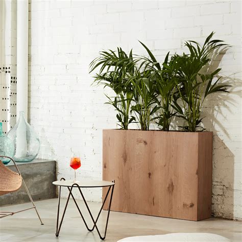 jardiniere dinterieur taggue bois pots de fleurs