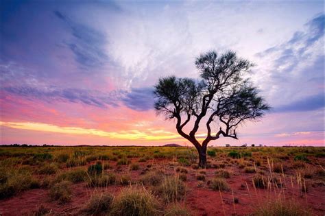 We Should Use Australias Environment Laws To Protect Our Living