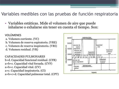 Pruebas de función respiratoria PPT