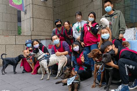 「女力崛起」新北動保員展現女力 活潑個性一年送養85隻犬貓 新頭條 Thehubnews