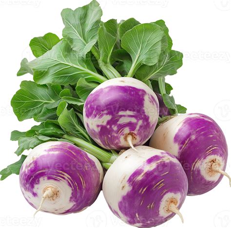 Rutabaga vegetable isolated, Swede Root Clipart, Heap of fresh rutabaga
