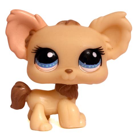Chihuahua 1171 Littlest Pet Shop Collectors Wiki Fandom